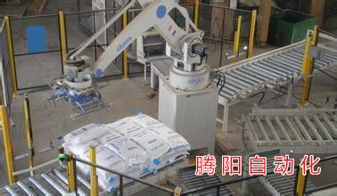 全自動碼垛機器人