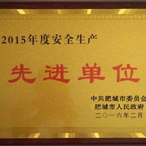 2015年度安全生產單位