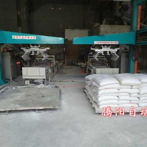 坐標全自動碼垛機器人