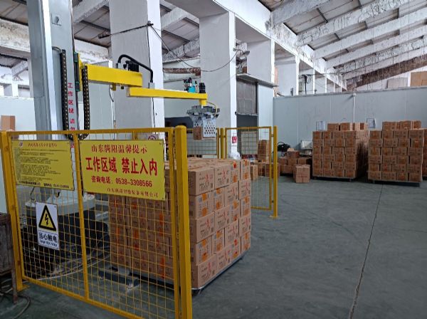 立柱碼垛機箱裝調味品自動碼垛生產線