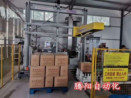 食品全自動(dòng)碼垛機(jī)器人