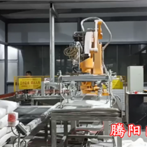 用一臺碼垛機器人自動鋪托盤自動碼垛