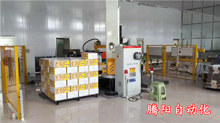 箱裝食品立柱碼垛機器人