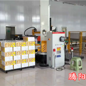 箱裝食品立柱碼垛機器人效率高減少貨物損壞
