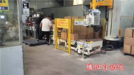 箱裝產品立柱碼垛機