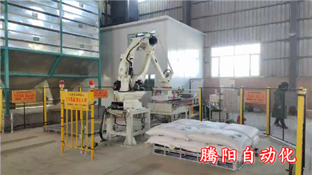 智能包裝碼垛機生產線