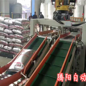 化肥碼垛機器人一臺機器負責雙線碼垛工作